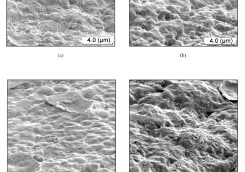 The Effect of Grounded Calcium Carbonate on the Physical Properties of NR Vulcanised Latex Films 